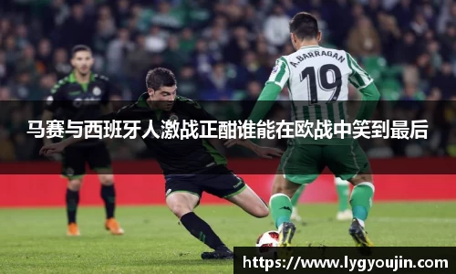 xk体育官网