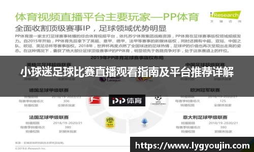 小球迷足球比赛直播观看指南及平台推荐详解